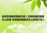 如何获得临时额度花呗（花呗的临时额度怎么获得 花呗临时额度该怎么获得介绍）