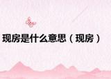 现房是什么意思（现房）