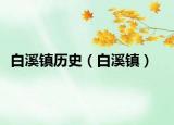 白溪镇历史（白溪镇）