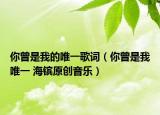 你曾是我的唯一歌词（你曾是我唯一 海镔原创音乐）