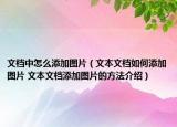 文档中怎么添加图片（文本文档如何添加图片 文本文档添加图片的方法介绍）