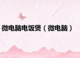 微电脑电饭煲（微电脑）
