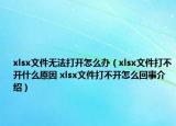 xlsx文件无法打开怎么办（xlsx文件打不开什么原因 xlsx文件打不开怎么回事介绍）