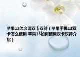 苹果13怎么调双卡双待（苹果手机13双卡怎么使用 苹果13如何使用双卡双待介绍）