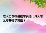 成人怎么零基础学英语（成人怎么零基础学英语）