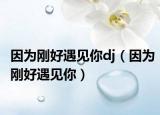 因为刚好遇见你dj（因为刚好遇见你）