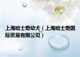 上海哈士奇幼犬（上海哈士奇国际贸易有限公司）