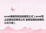 excel表格怎样自动填充公式（excel怎么设置自动填充公式 如何设置自动填充公式介绍）