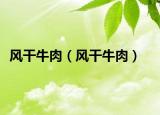 风干牛肉（风干牛肉）