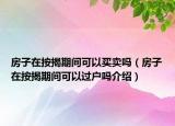 房子在按揭期间可以买卖吗（房子在按揭期间可以过户吗介绍）