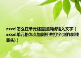 excel怎么在单元格里加斜线输入文字（excel单元格怎么加斜杠并打字(制作斜线表头)）