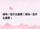 戎马一生什么意思（戎马一生什么意思）
