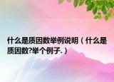 什么是质因数举例说明（什么是质因数?举个例子.）