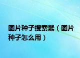 图片种子搜索器（图片种子怎么用）