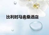 比利时马麦桑酒店