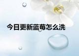 今日更新蓝莓怎么洗