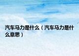 汽车马力是什么（汽车马力是什么意思）