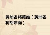 黄埔名将黄维（黄埔名将胡宗南）