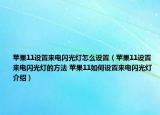 苹果11设置来电闪光灯怎么设置（苹果11设置来电闪光灯的方法 苹果11如何设置来电闪光灯介绍）