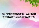 word页面设置选项卡（word选项卡在哪设置word选项卡设置介绍）