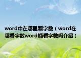 word中在哪里看字数（word在哪看字数word能看字数吗介绍）