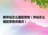 新诛仙怎么捕捉宠物（诛仙怎么捕捉宠物详细点）