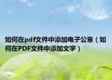 如何在pdf文件中添加电子公章（如何在PDF文件中添加文字）
