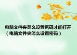 电脑文件夹怎么设置密码才能打开（电脑文件夹怎么设置密码）