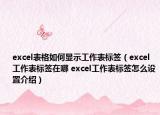 excel表格如何显示工作表标签（excel工作表标签在哪 excel工作表标签怎么设置介绍）