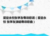 爱是永恒张学友粤语歌词（爱是永恒 张学友演唱粤语歌曲）
