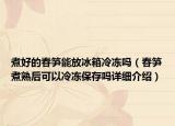 煮好的春笋能放冰箱冷冻吗（春笋煮熟后可以冷冻保存吗详细介绍）