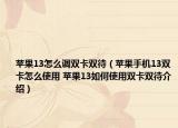 苹果13怎么调双卡双待（苹果手机13双卡怎么使用 苹果13如何使用双卡双待介绍）