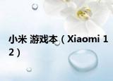 小米 游戏本（Xiaomi 12）