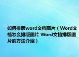 如何排版word文档图片（Word文档怎么排版图片 Word文档排版图片的方法介绍）