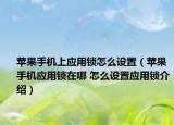 苹果手机上应用锁怎么设置（苹果手机应用锁在哪 怎么设置应用锁介绍）
