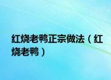 红烧老鸭正宗做法（红烧老鸭）