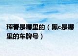 珲春是哪里的（黑c是哪里的车牌号）