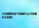 今日更新安全气囊是什么(气囊是什么东西)