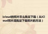 icloud的照片怎么批量下载（从iCloud照片流批量下载照片的方法）