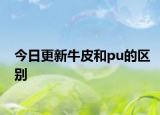 今日更新牛皮和pu的区别