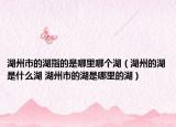 湖州市的湖指的是哪里哪个湖（湖州的湖是什么湖 湖州市的湖是哪里的湖）