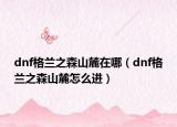 dnf格兰之森山麓在哪（dnf格兰之森山麓怎么进）