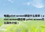 电脑print screen键是什么意思（print screen键在哪 print screen怎么操作介绍）