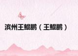 滨州王鲲鹏（王鲲鹏）