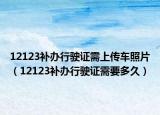 12123补办行驶证需上传车照片（12123补办行驶证需要多久）