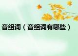 音组词（音组词有哪些）