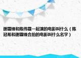谢霆锋和陈伟霆一起演的电影叫什么（陈冠希和谢霆锋合拍的电影叫什么名字）