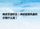 神武手游积分（神武智慧风暴积分有什么用）