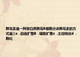 胰岛素是一种蛋白质胰岛B细胞分泌胰岛素的方式是()a  .自由扩散B  .辅助扩散c  .主动转运d  .胞吐