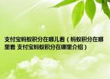 支付宝蚂蚁积分在哪儿看（蚂蚁积分在哪里看 支付宝蚂蚁积分在哪里介绍）